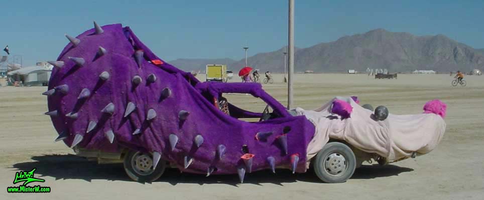 Burning Man 2004 - Photography by Mr.W.