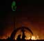 Burning Man 2004 - Photography by Mr.W.