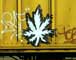 Freight Trains - Photography by Mr.W.