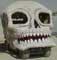 Skull Car - Art Car & Mutant Vehicle